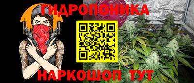 шишки Гусев